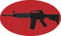 Shoot Safe Learning Basic Rifle